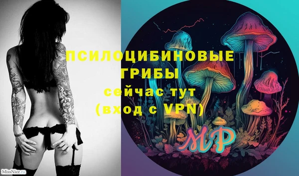 прущий лед Инта