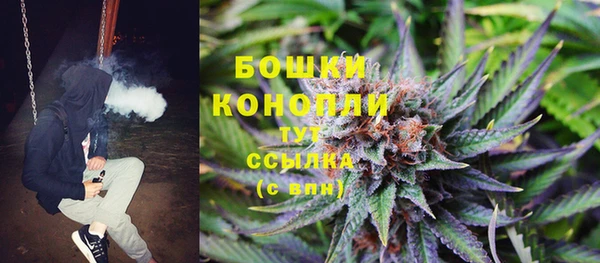 прущий лед Инта