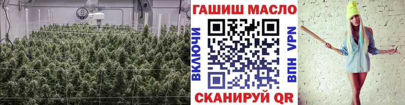 Купить  Ладушкин  Дистиллят ТГК вейп с тгк 