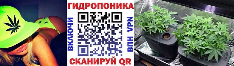 Бошки Шишки White Widow  Купить закладки  Ладушкин 